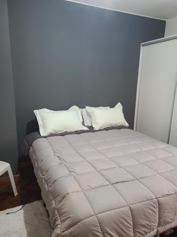 멘도사 Departamento Centrico, Pasos Peatonal 아파트 외부 사진